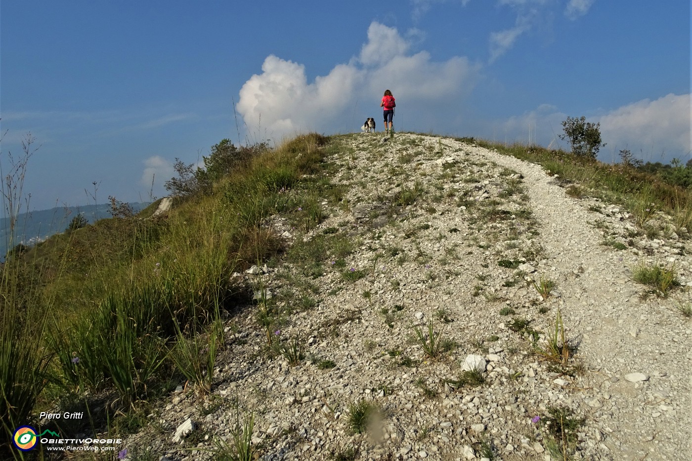 46 ...sulla 'linea taglia-fuoco' tra Bracca di Val Serina e S. Pellegrino di Val Brembana.JPG